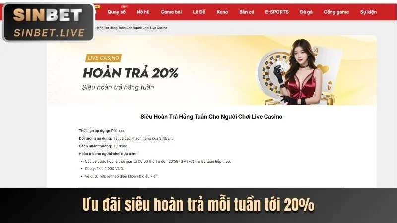 Ngăn xếp tiền mặt với hiệu ứng hoàn trả, minh họa chương trình hoàn trả V9bett